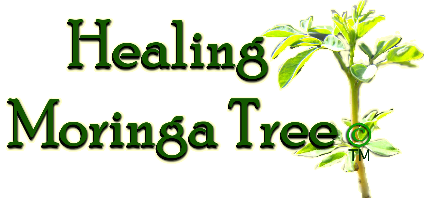 Moringa news, Moringa Blogspot, Moringa trees & Information, Moringa ...