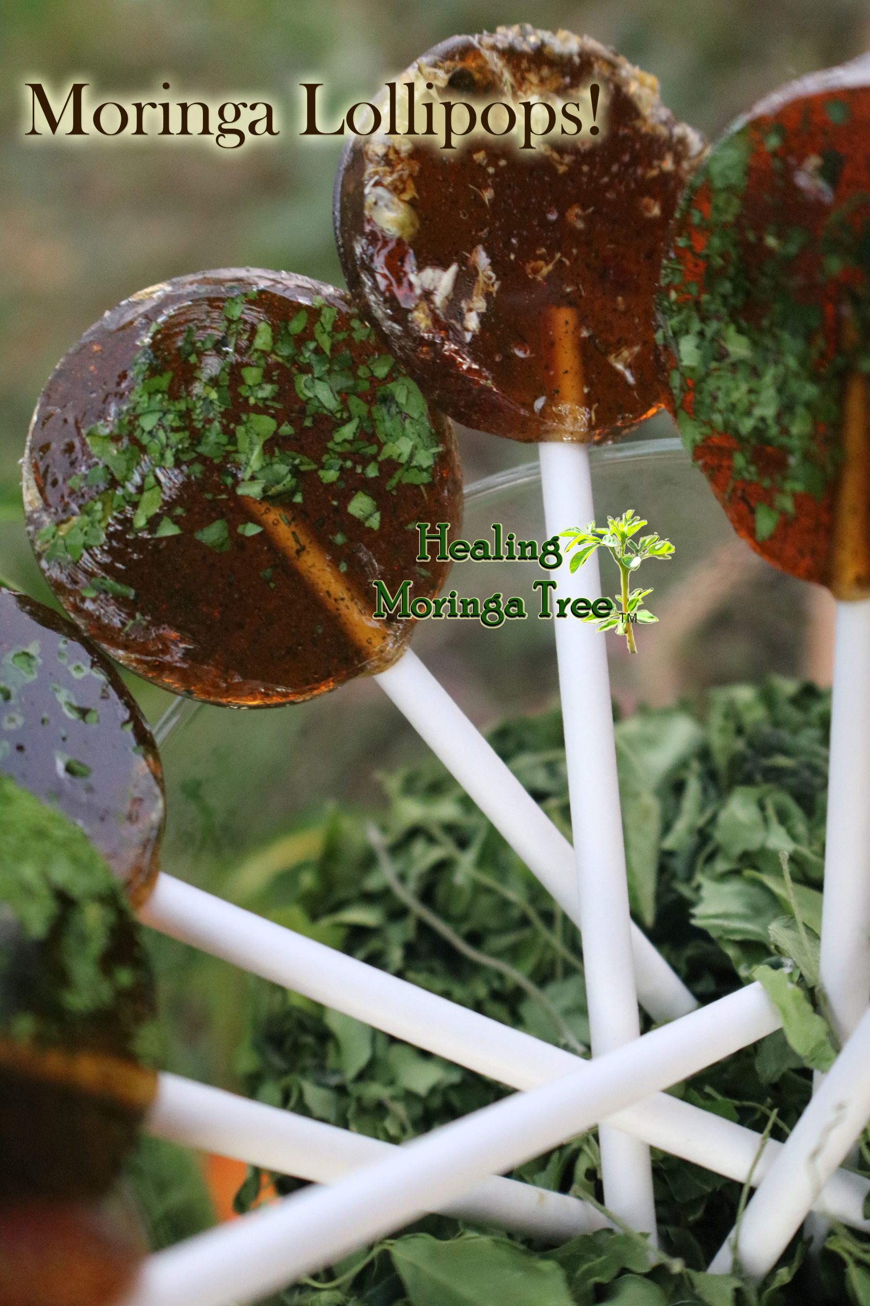 Moringa Lollipops (Out Of stock)